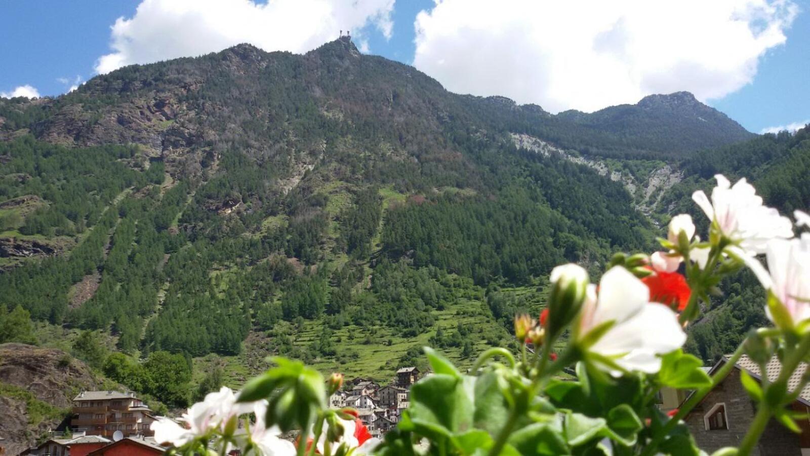 Hotel Pigna D'Oro Chiesa in Valmalenco Buitenkant foto