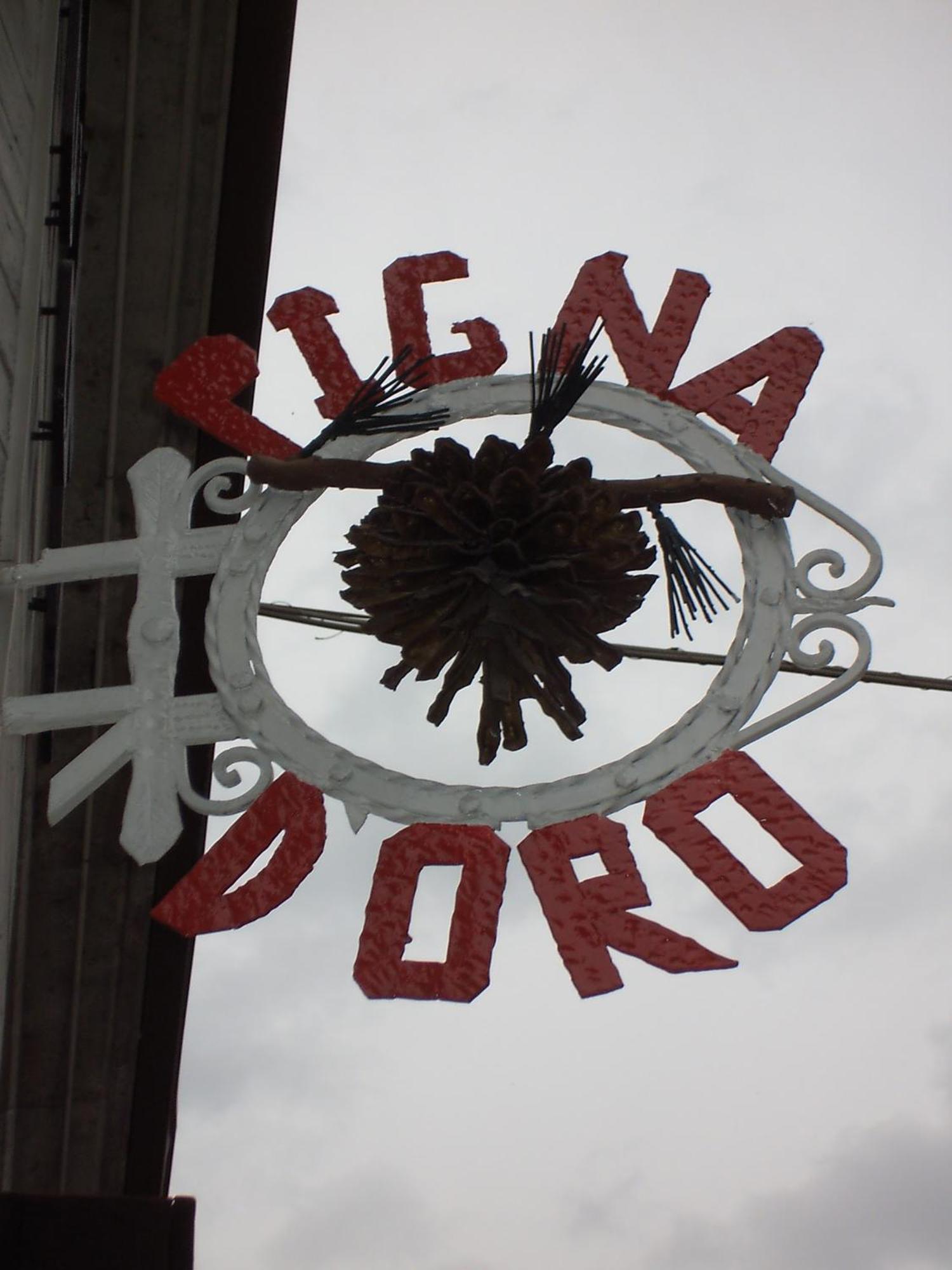 Hotel Pigna D'Oro Chiesa in Valmalenco Buitenkant foto